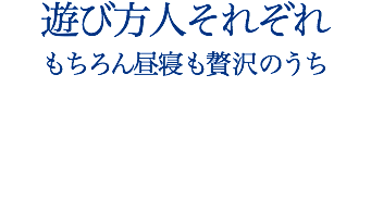 遊び方人それぞれ もちろん昼寝も贅沢のうち 